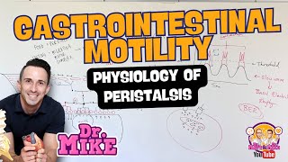 Motility of the Gastrointestinal Tract  Peristalsis Physiology [upl. by Greerson58]