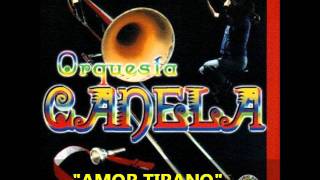 AMOR TIRANO  Mario Roberto y su Orquesta Canela [upl. by Arannahs323]