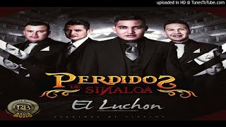 Mi Única Ilusión  Perdidos De Sinaloa 2016 [upl. by Kred]