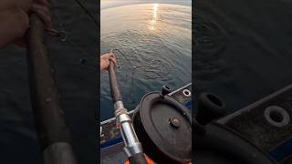 Gelbek off kzn music commercialfishing fishing salmon beach fish bait [upl. by Nyltiak]