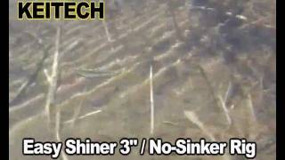 Keitech 3quot Easy Shiner No Sinker Rig [upl. by Pegeen393]