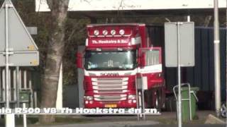 Scania R500 V8 Th Hoekstra en zn veetransport [upl. by Anitrebla]