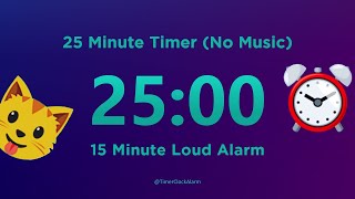 25 minute Timer Countdown No Music with Loud Alarm [upl. by Sarnoff]