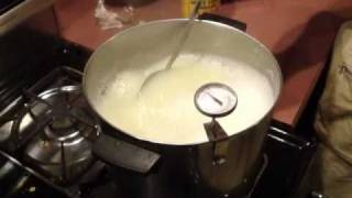 cottage cheese  ricotta cheese  how to make [upl. by Azeria]