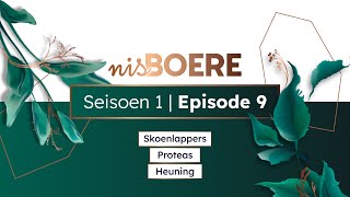 nisBOERE 1  Episode 9  Skoenlappers Proteas en Heuning [upl. by Emmeram]