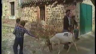 Los pastores trashumantes de las 7 Villas RTVE 1984 [upl. by Hugues]