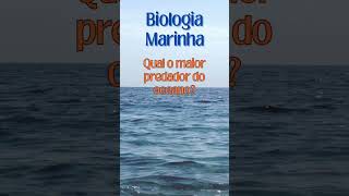 Biologia Marinha Predador do Oceano [upl. by Nordgren75]