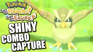 COMMENT TROUVER DES SHINY COMBO CAPTURE  POKÉMON LETS GO PIKACHU amp ÉVOLI [upl. by Talbot347]