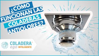 COLADERAS PARA BAÑO 🛀 Modernas  AntiOlores  AntiBichos 【2019】 [upl. by Htederem979]