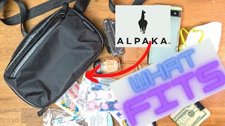 Alpaka Elements Tech Case Mini review  see what fits [upl. by Farhi714]