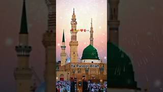 Labbaik ya Rasool Allahlabbaik ya Rasool Allah Naralabbaik ya Rasool Allah statuslabbaik qawwali [upl. by Felton690]