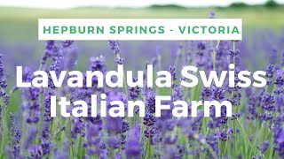 Lavandula Farm  Hepburn Springs Victoria [upl. by Amarette]