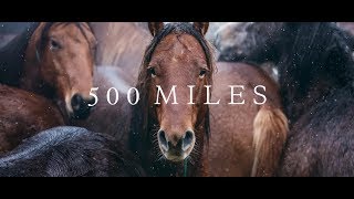 500 Miles  The Story of Ranchers and Horses 2017 [upl. by Floris399]