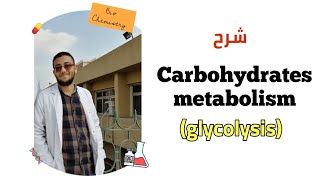 شرح مبسط لل carbohydrate metabolism glycolysis  د أحمد موسى [upl. by Jameson]