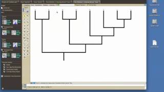 Mesquite Demo 2 [upl. by Jacey]