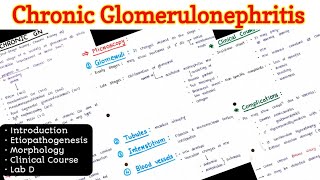 Chronic Glomerulonephritis [upl. by Deeraf999]