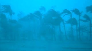 12 Hours inside a Category 5 HurricaneRain amp Thunder Sounds for SleepLock the Door amp Go SleepASMR [upl. by Trudy]