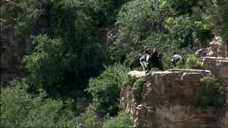 California Condors in Grand Canyon National Park [upl. by Tezil]