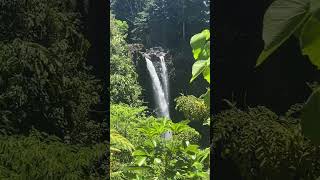 Rainbow Falls  shorts explore travel nature waterfall bigisland hawaii destination water [upl. by Malkah416]