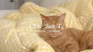 Chite Suit Te — Slowed and Reverb [upl. by Anitap837]