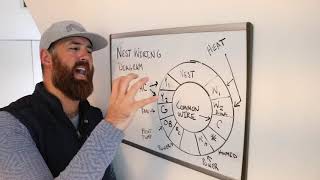 Nest Wiring Diagram Full Explanation [upl. by Raybin227]