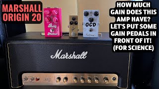 Marshall Origin 20  How Much Gain Does This Amp Have  Lets Also Run Some Gain Pedals In Front [upl. by Bartram]