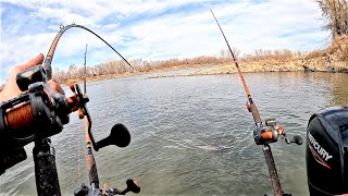 Wing Dams Hold BIG FISH Fishing a MASSIVE RIVER [upl. by Guinn868]