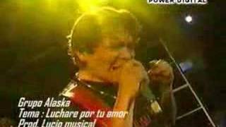 Cumbia Sureña  Grupo Alaska  Luchare por tu amor [upl. by Lorac362]