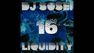 DJ Sosei  Liquidity 16 Liquid Drum amp Bass [upl. by Iddet]