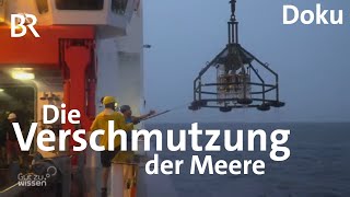 Verschmutzung der Meere auf der Spur  Ozeanforschung  Gut zu wissen  Doku  BR [upl. by Avin]