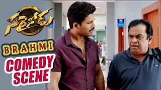 Home Theatre Comedy scene  Sarrainodu  Allu Arjun Rakul Preet Catherine Tresa [upl. by Lazar310]