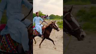 parizaad owner and rider Muzammil khan awansindhibalochihorseschaalbazwarapacerrewalpak [upl. by Netsyrk]