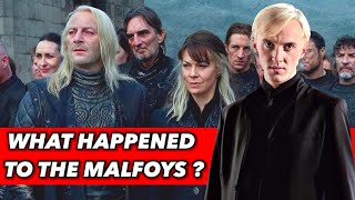 What Happened To The Malfoys After The War  Lucius Malfoy Narcissa Malfoy And Draco [upl. by Ahsiena]