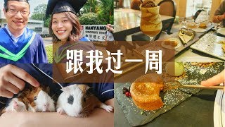 Weekly VLOG 03  跟我过一周  新加坡大学毕业典礼  新加坡超市零食分享  新加坡  Singapore [upl. by Raval]