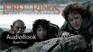 The Lord of the Rings Audiobook  THE TWO TOWERS  Book Four  Book Land [upl. by Nohsav]