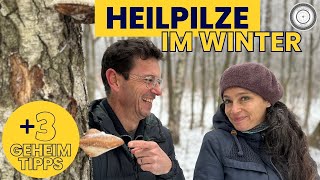 DIY  SO EINFACH  HEILPILZE im WINTER finden  3 GEHEIMREZEPTE zur Anwendung [upl. by Rehpotsyrhc]