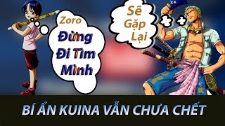 Giả Thuyết KUINA Bạn Niên Thiếu Zoro Vẫn Còn Sống [upl. by Laden]