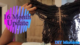 DIY Microlocs  16 MONTH UPDATE  Loc Journey  Interlocks [upl. by Ralip]