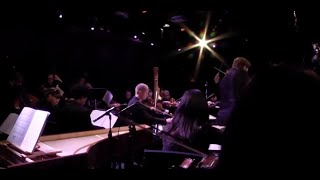 Max Richter  The Four Seasons Recomposed Live at Le Poisson Rouge NYC [upl. by Eimilb210]