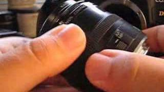 Canon EF 50mm f25 Compact Macro Lens Review [upl. by Nonarb388]