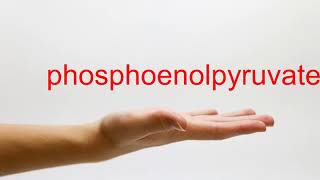 How to Pronounce phosphoenolpyruvate  American English [upl. by Schilling]