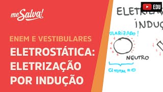 Me Salva ELT08  Eletrostática  Eletrização por Indução [upl. by Galanti]