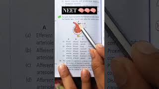 Diagram of Malpighian body and give this answer youtubeshort neet neetncertbiology [upl. by Ffej]