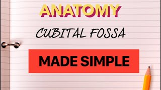 CUBITAL FOSSA  ANATOMY  UPPER LIMB [upl. by Clarhe]