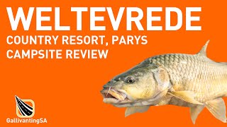 Weltevrede Country Resort  Campsite Review  October 2023 [upl. by Maia557]