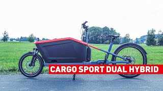 Vorstellung CUBE Cargo Sport Dual Hybrid  Modelljahr 2021 [upl. by Gradeigh780]