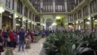 WA Mozart Ave verum corpus flash mob [upl. by Previdi]