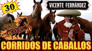 🔥MIX VICENTE FERNANDEZ 2024🔥 CORRIDOS DE CABALLOS 🐴 PURAS VIEJITAS PARA PISTEAR 🔥 [upl. by Pearman]