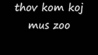 Tub Yaj  Thov Kom Koj Mus Zoo Lyrics [upl. by Caleb]