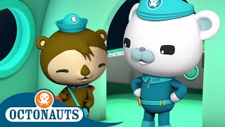 Octonauts  Shellington and Captain  Cartoons for Kids  Underwater Sea Education [upl. by Aicilf703]